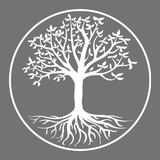 Zap Aesthetics logo