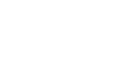 Fiona Collins Aesthetics Limited logo