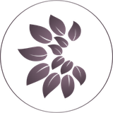 MeadowView Aesthetics Skin And Laser Specialist logo