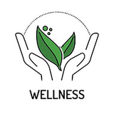 Sculpture Medi Spa logo