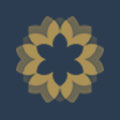 Skin Logic Aesthetics & Laser Clinic logo