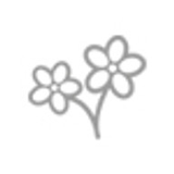 The Rye Sanctuary Skin Clinic logo