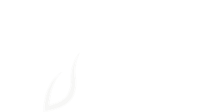 Physioheal Clinic and Spa logo