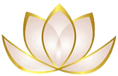 Pretty Flawless Aesthetics Clinic logo