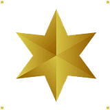 Symmetry Aesthetics logo