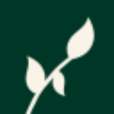 Oblique Beauty House Aesthetics logo