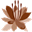 Mayflower Health and Beauty Clinic logo