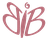 BIB Aesthetics logo