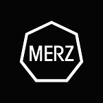The Aesthetic Surgery logo