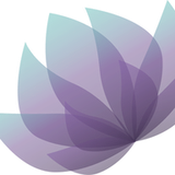 Blossom Space Clinic logo
