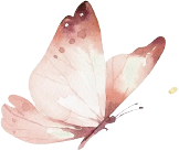 Claire Kirsty Aesthetics logo