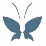 Secret Smile Aesthetics logo
