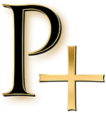 Profile + Aesthetics logo